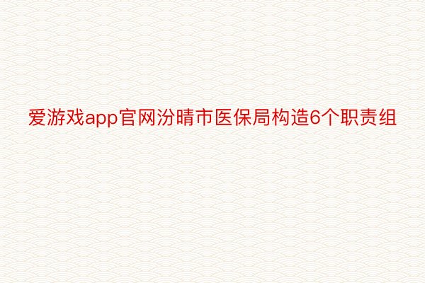 爱游戏app官网汾晴市医保局构造6个职责组