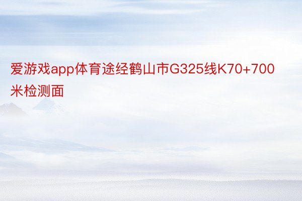 爱游戏app体育途经鹤山市G325线K70+700米检测面