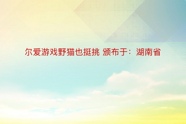 尔爱游戏野猫也挺挑 颁布于：湖南省