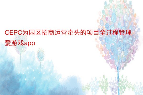 OEPC为园区招商运营牵头的项目全过程管理爱游戏app